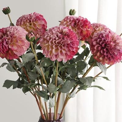 80cm Künstliche Chrysanthemen Zweig 2 Köpfe Real Touch Simulation Dahlienblüten Florale Kunst Handgefertigt Seiden-Kunstblumen
