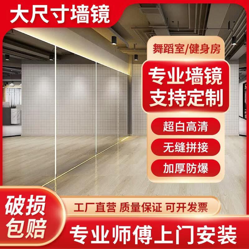 Brangdy Large Wall-Mounted Full Body Mirror