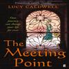 The Meeting Point by Lucy Caldwell Paperback Book 9780571270538