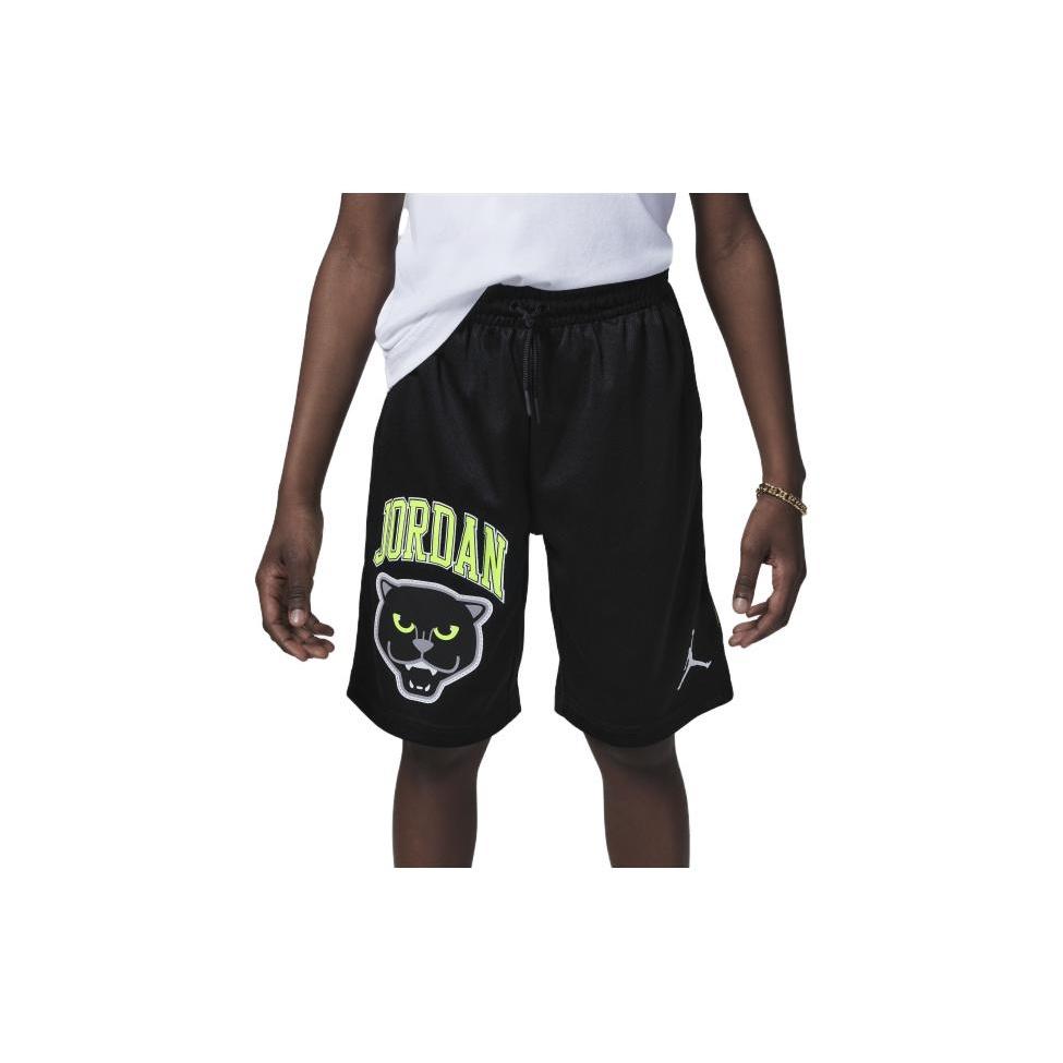 (GS) Air Jordan Panther Logo Black Kids FQ4897-010 L