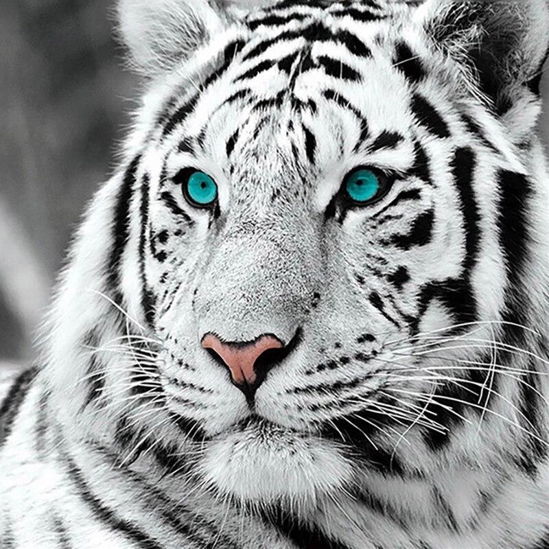 New 5D DIY Diamond Painting Tiger Diamond Embroidery Animal Cross Stitch Full Round Drill Crafts Home Decor Manual Gift