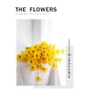 Simulation Small Daisy Chamomile Fresh Fake Dried Chrysanthemum Living Room Decoration