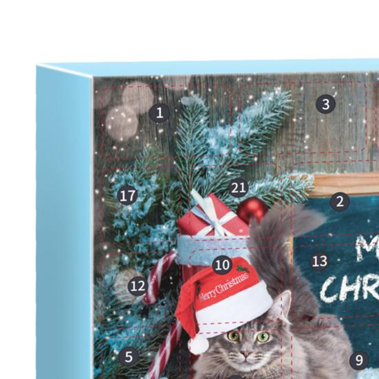 Calendario dell'Avvento per Gatti Giocattoli Interattivi per Gatti Topo di Peluche Palline Assortite Set Bacchetta 24 Giorni Calendario Conto alla Rovescia di Natale Regali per Amanti dei Gatti Proprietari di Gattini