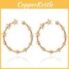Chic Star Circle Earrings For Women Fashionable Gold Silver Design Minimalist