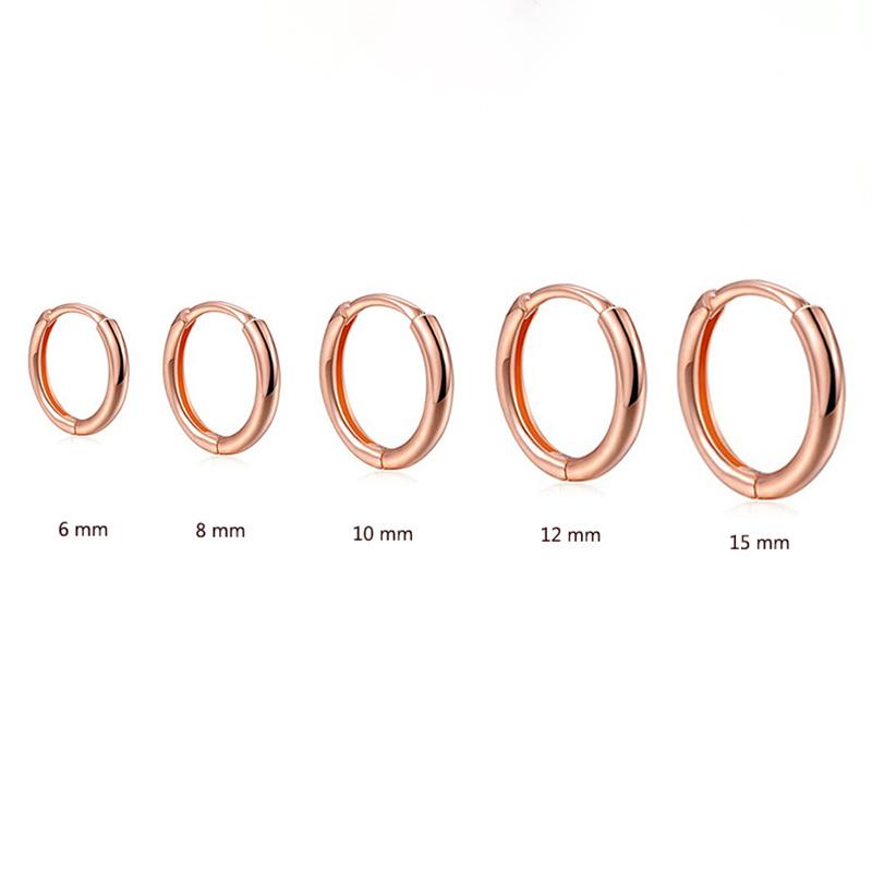 

2PCS Stainless Steel Minimal Hoop Earrings For Women Girls Gold Color Small Piercing Earring Wedding Gift Smooth Ear Bone Buckle 15mm рожевий колір золота