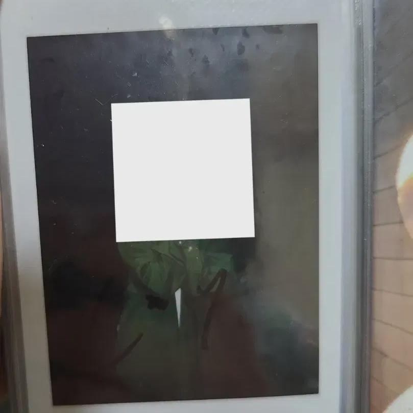 

Знак Polaroid Люси Шин Йе-чан