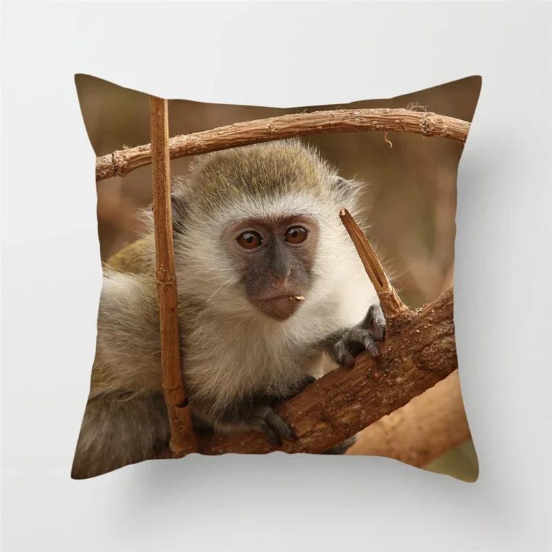 Monkey Apes Polyester Cushion Cover Wild Animal Monkey Raccoon Pattern Throw Pillow Case For Sofa Home Decorative Pillowcase