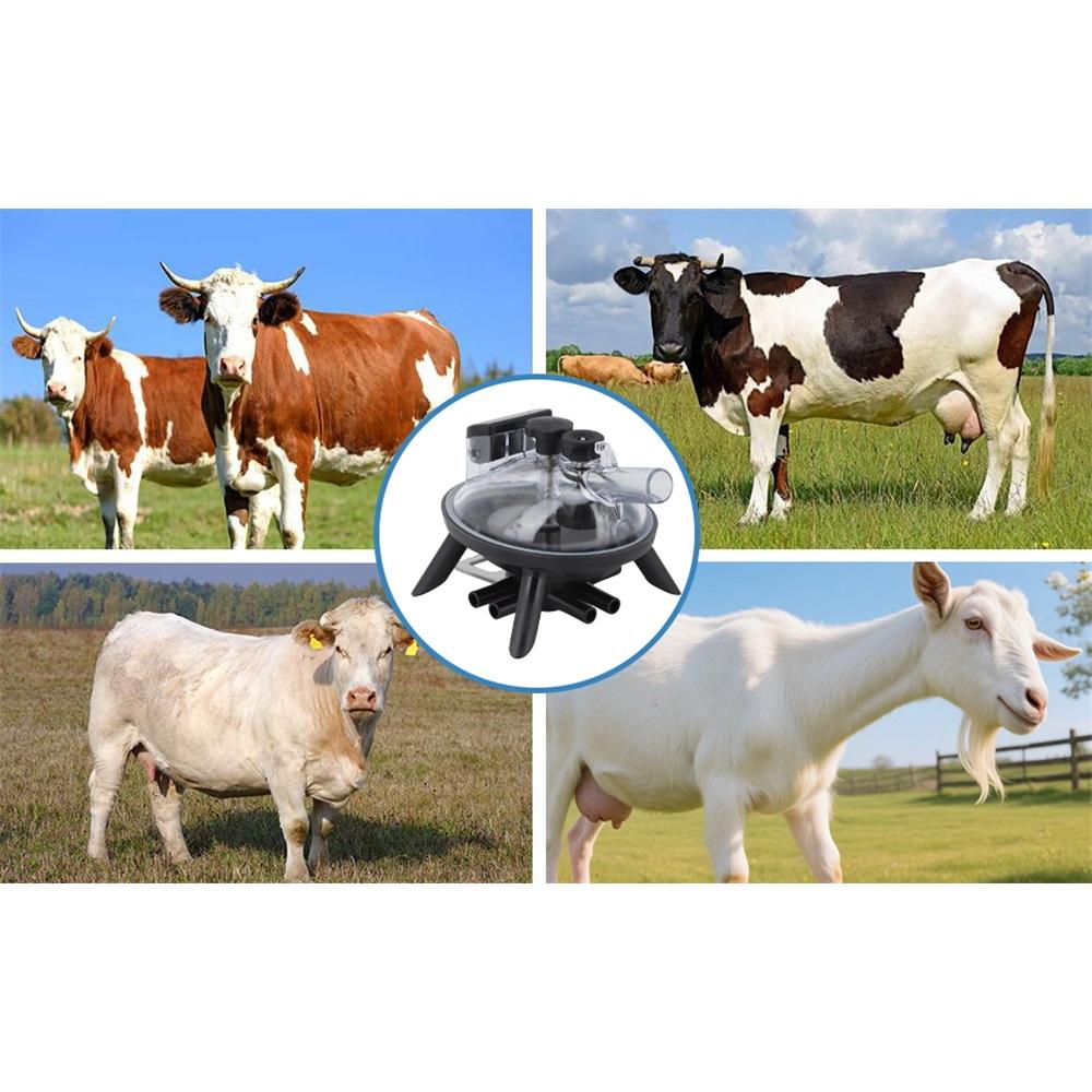 240cc Milking Claw For Cow Milking Machine - Replacement Milk Collector Accessory