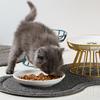 Pet Food Plate and Rack Set Whisker-Friendly Anti-Vomit Cat Plate Set for Cats and Small Dogs