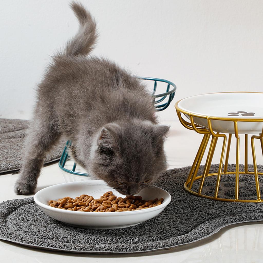 Pet Food Plate and Rack Set Whisker-Friendly Anti-Vomit Cat Plate Set for Cats and Small Dogs