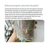 4pcs/set Lightweight Clear Mesh Planter For Plant Container Container Planter Decoration Home Flower