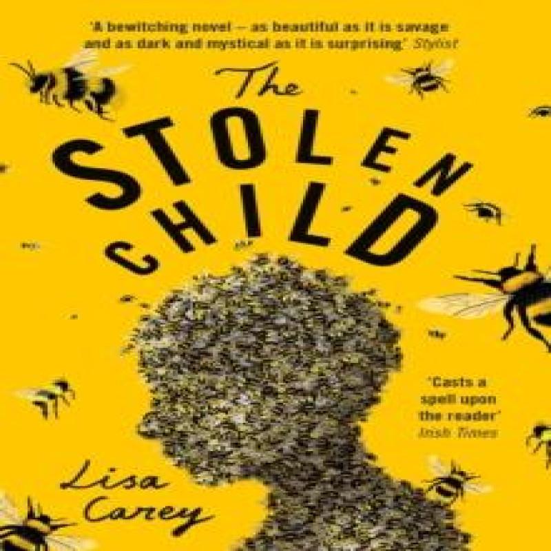 The Stolen Child by Lisa Carey Paperback Book 9781474603812