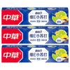Zhonghua Vitamin C Baking Soda Whitening Toothpaste