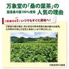 Banshoudo Mulberry Leaf Tea, 100g Powder, Made in Japan, Powdered Mulberry Tea, Benefits, Green Juice, Pesticide-Free, Caffeine-Free, Made in Kumamoto