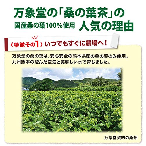 Banshoudo Mulberry Leaf Tea, 100g Powder, Made in Japan, Powdered Mulberry Tea, Benefits, Green Juice, Pesticide-Free, Caffeine-Free, Made in Kumamoto