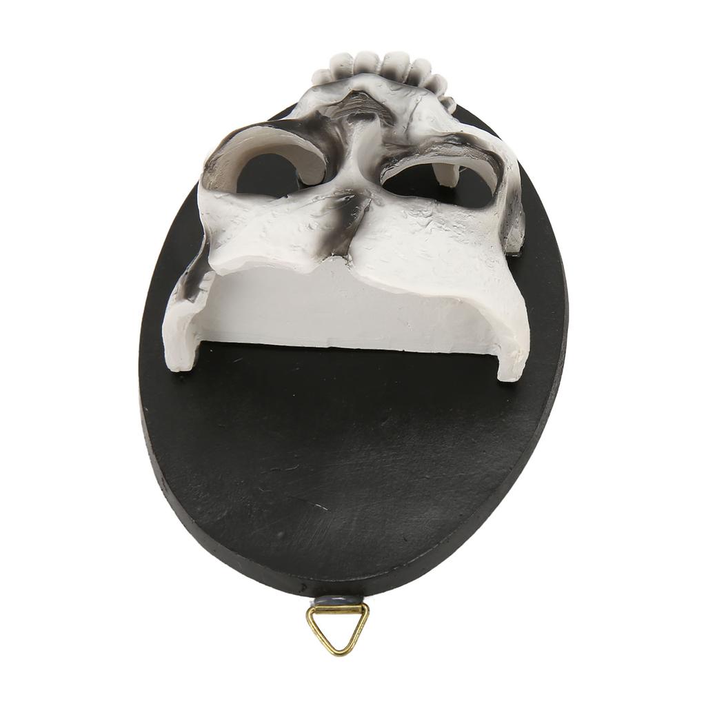 Wall Skull Candle Holder Sturdy Resin Rich Details Hanging Hook Skeleton Candlestick Holder for Party Decoration