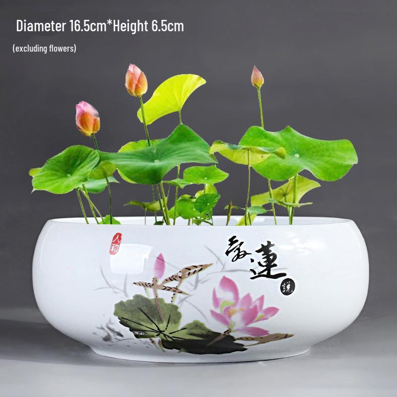 Großer Keramik-Lotus Seerose Hydroponischer Blumentopf ohne Abfluss