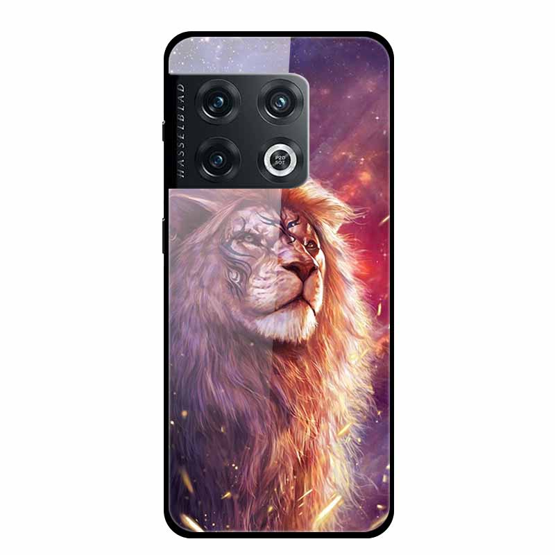 For One plus 10 Pro Case Shockproof Tempered Glass Hard Back Cover For OnePlus 10 Pro 10Pro Oneplus10 1+10 Pro Bumper Coque Case