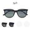 Ray-Ban RB4378F (54) Horn-rimmed Round Sunglasses