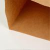 Party Treat Bags Paper for Food Holding 100Pcs Beige Kraft Paper Bags