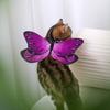 Cat Dog Colorful Butterfly Cosplay Costume Beautiful Butterfly Soft Comfortable Costume Accessories Dress Up Supplies
