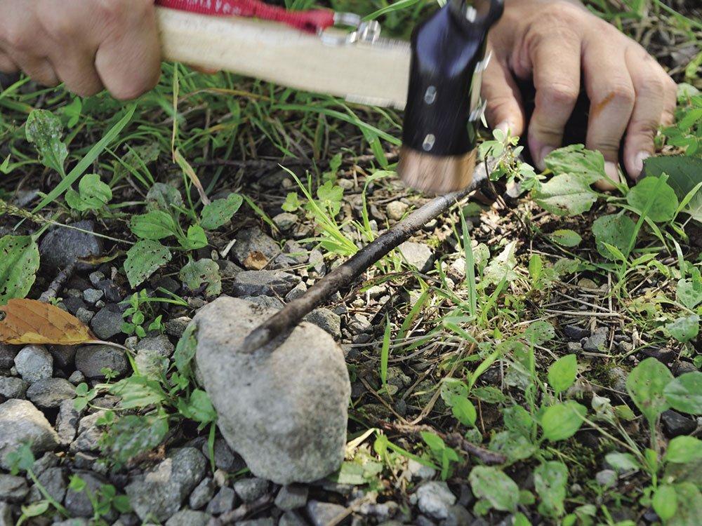 Snow Peak Solid Stakes 20 R-102 (x 12)