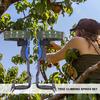 Juego de Picos para Trepar Árboles Acero Espuelas para Trepar Árboles Kit de Gaffs Árbol Endurecido a Alta Temperatura