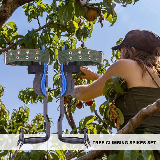 Juego de Picos para Trepar Árboles Acero Espuelas para Trepar Árboles Kit de Gaffs Árbol Endurecido a Alta Temperatura