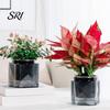 Indoor Self Watering Pot Automatic Water-absorbing Flowerpot with Transparent Water Level Indicator Self-Watering Planter for Plants Succulents Cactus