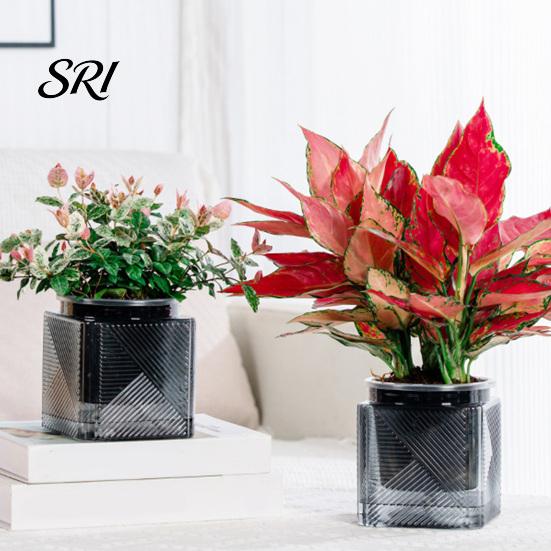 Indoor Self Watering Pot Automatic Water-absorbing Flowerpot with Transparent Water Level Indicator Self-Watering Planter for Plants Succulents Cactus