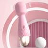 1PC USB Rechargeable Frequency Conversion Strong Vibration Female Portable Masturbator Vibrator Adult Products
