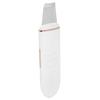 EMS Ultrasonic Skin Scrubber Blackhead Pimple Removal Lifting Ion Pore Cleaner Machine