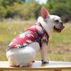 Lovely Puppy Beach Shirt Shirt T-shirt Shirt Pineapple Beach Outfit Shirt  Costume Pet Outfit Party