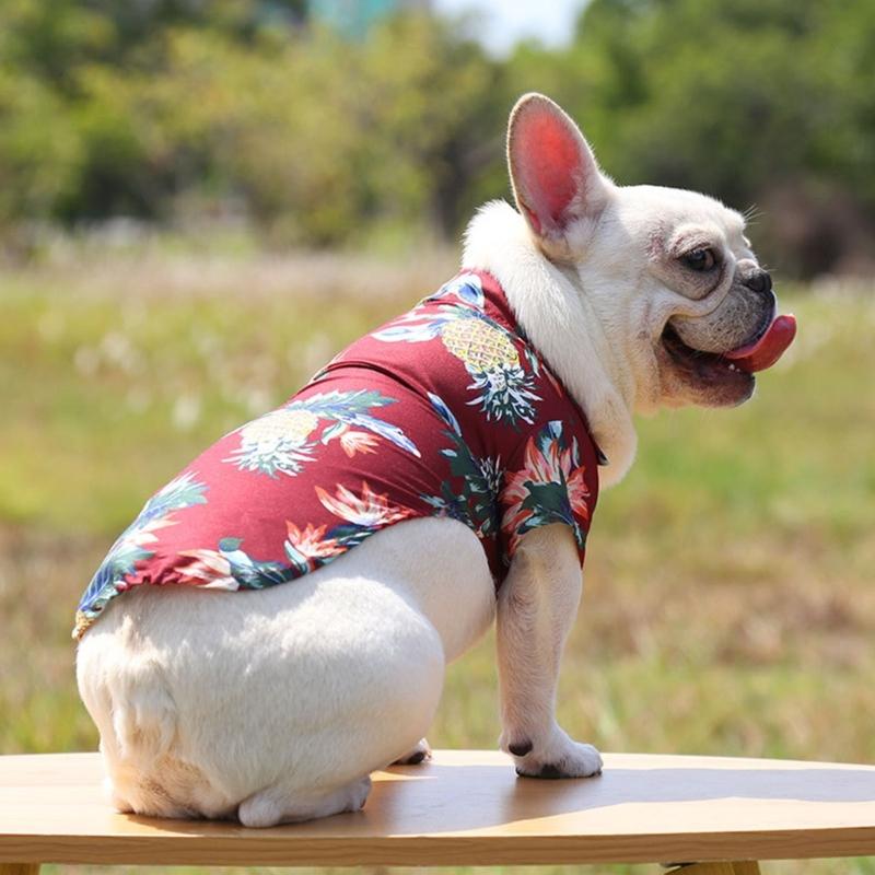 Lovely Puppy Beach Shirt Shirt T-shirt Shirt Pineapple Beach Outfit Shirt Costume Pet Outfit Party