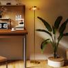 LED Floor Lamp Living Room, Floor Light with 3000K Warm Light, Foot Switch, 25 X 25 X 134 Cm, Brass