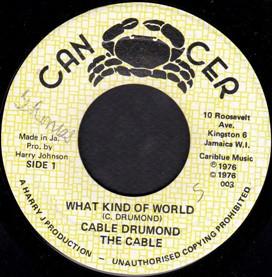 

7inch Record KEBLE DRUMMOND THE CABLES THE C What Kind Of World World Dub 003 Cancer 1976 Jamaica Reggae Ska Dub Used
