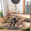 Customize Photos Customize picture Floor Mat Design for Dormitory Game Room Decorate room Dining Room Antislip Carpet Office home decor