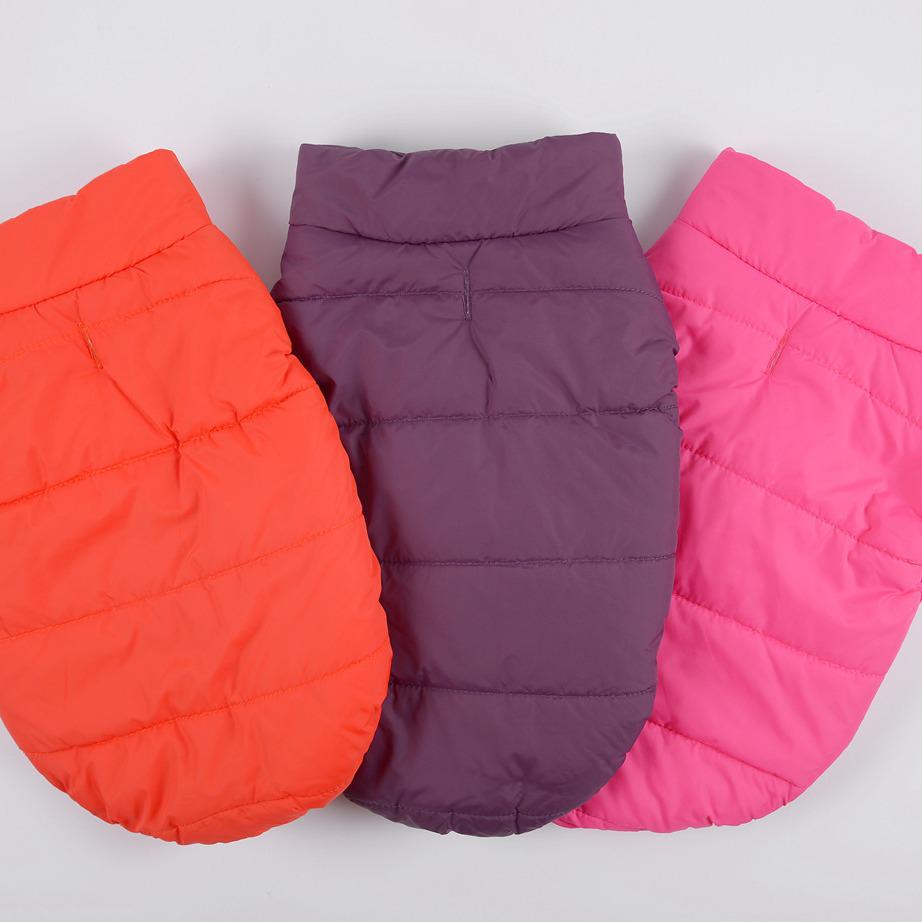 Thickened Cotton Snap Button Jacket for Dogs - Autumn/Winter Pet Apparel