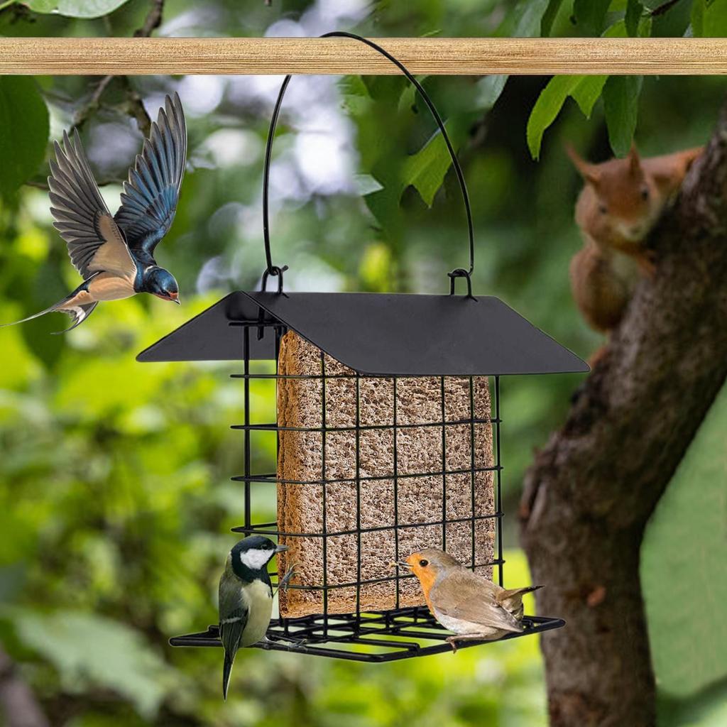 Suet Feeder Reusable Squirrel Proof Feeding Station Suet Cakes Cage Bird Feeder for Wild Hummingbirds Woodpeckers All Breeds