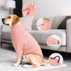 Hunde-Hauskleidung, Zweibeiner-Kleidung für Hunde, Anti-Haarausfall, Dehnbar und Universell für Alle Hundetypen, Bietet Kälteschutz und Wärme