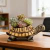 Turtle Flower Pot Plant Container Desk Decorations Small Planter For Flowers Succulents Cactus Indoor Home Office Bedroom Living