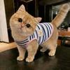 Striped Dog Vest with D-ring, Cute Embroidery Sleeveless Pet Shirt for Small Dogs