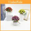 Rose Indoor Miniature Plastic Potted Plant With Realistic Flowers For Home Decor And Photography Prop
