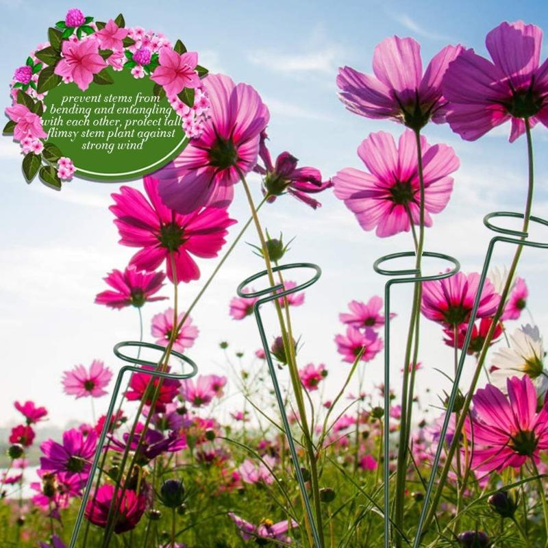 High-quality Gardening Plant Supports Flower Stand Reusable Protection Fixing Tool Garden Supplies For Vegetable Holder Bracket