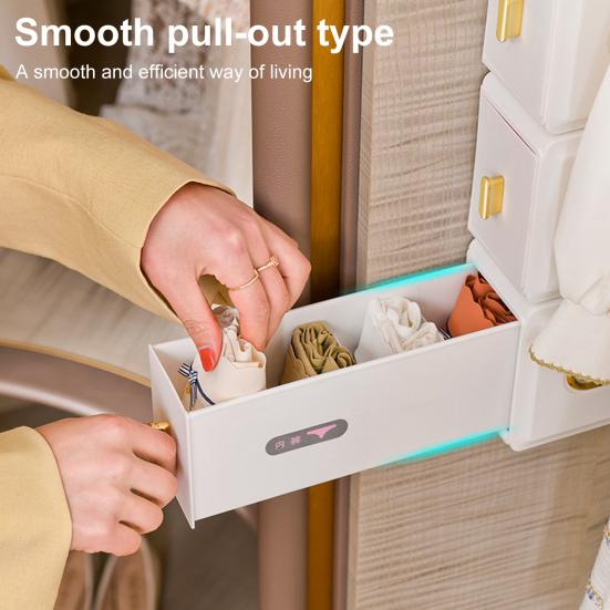 Yousheng Socks Bra Organizer Box Multiple Compartments Easy To Install Wall Mount Self Adhesive Underwear Storage Box Pull-out Closet Organizer