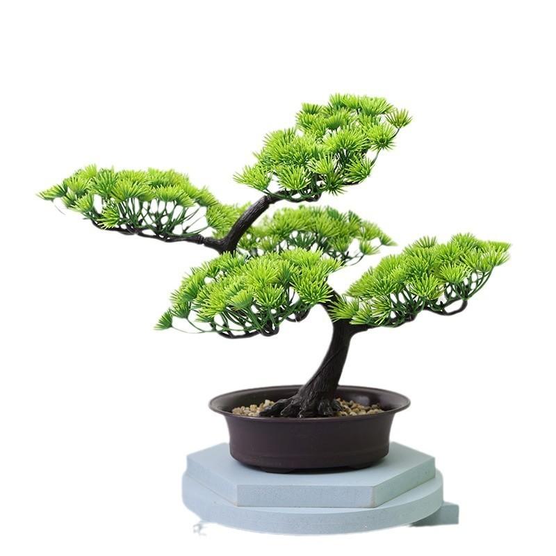 Home Decor Artificial Pine Tree With Plastic Material For Living Room And Office Display