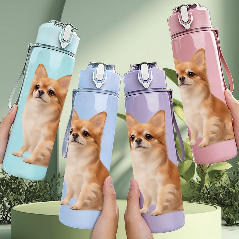 1PC Cute Chihuahua Sitting Print 750ml Color Plastic Sports Water Bottle Leakproof Flip Straw Lid Suitable for Sports Office Home Use