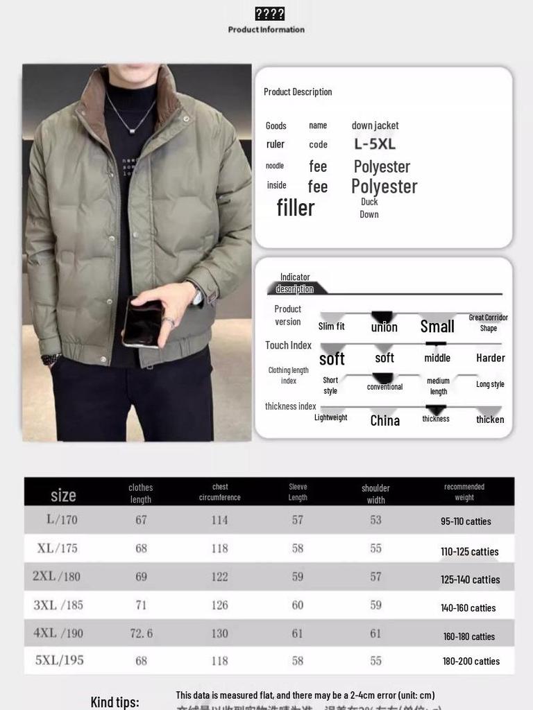 Men's 2025 Winter Trend Casual Stand-Up Collar Duck Down Jacket - Youthful Versatile Warm Outerwear