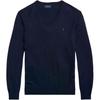 Polo Ralph Lauren Sweater Standard Men's Blue 710883124-001
