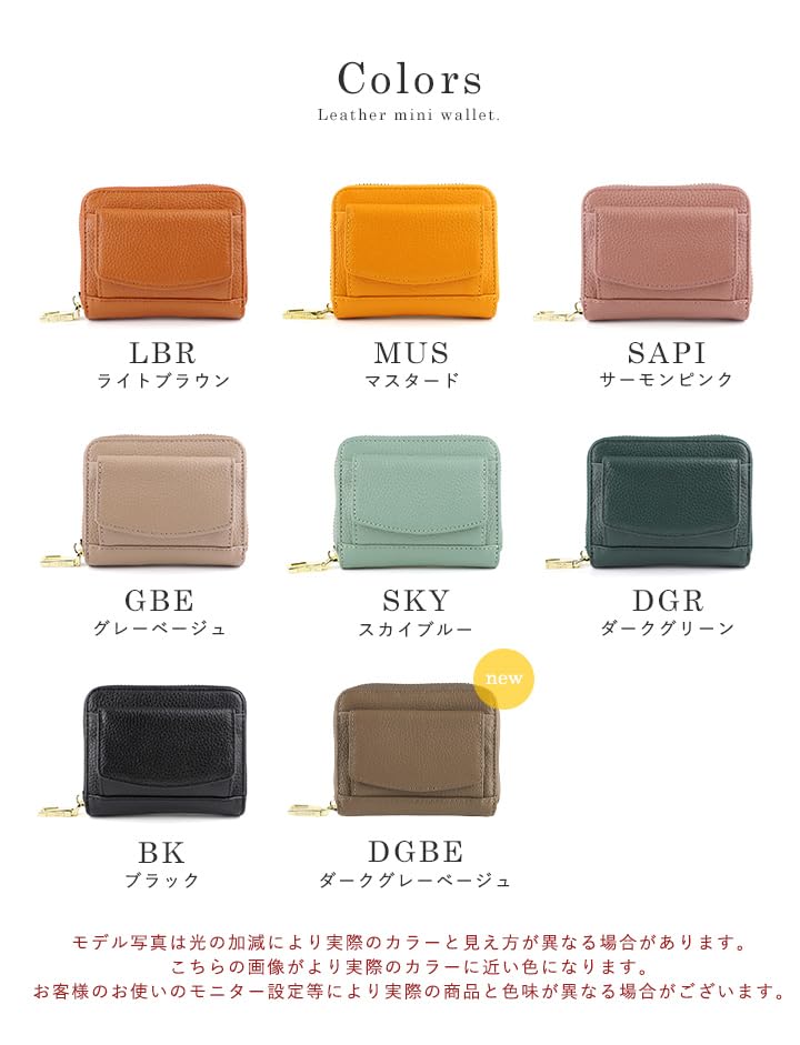 Lizdays Mini Wallet, Card Case, Bill-Resistant, Accordion-Style, Large Capacity, Coin Purse, Skimming Prevention (Black)